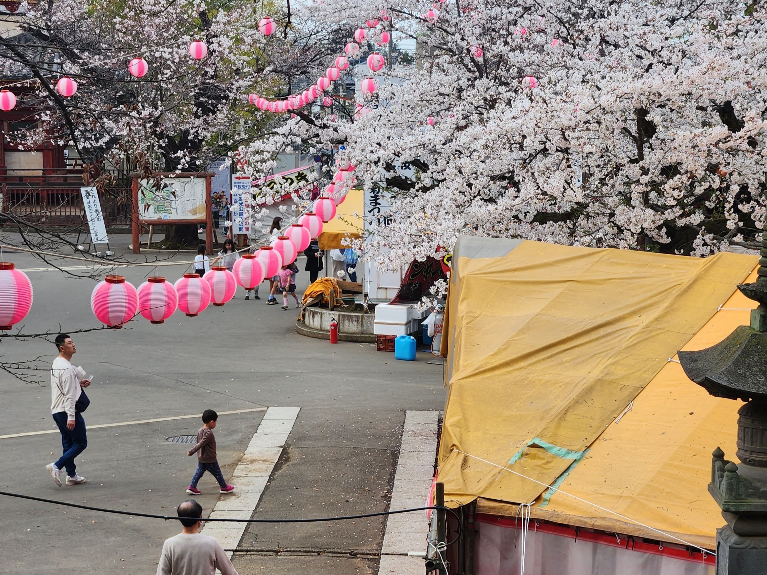 תרבות יפנית
