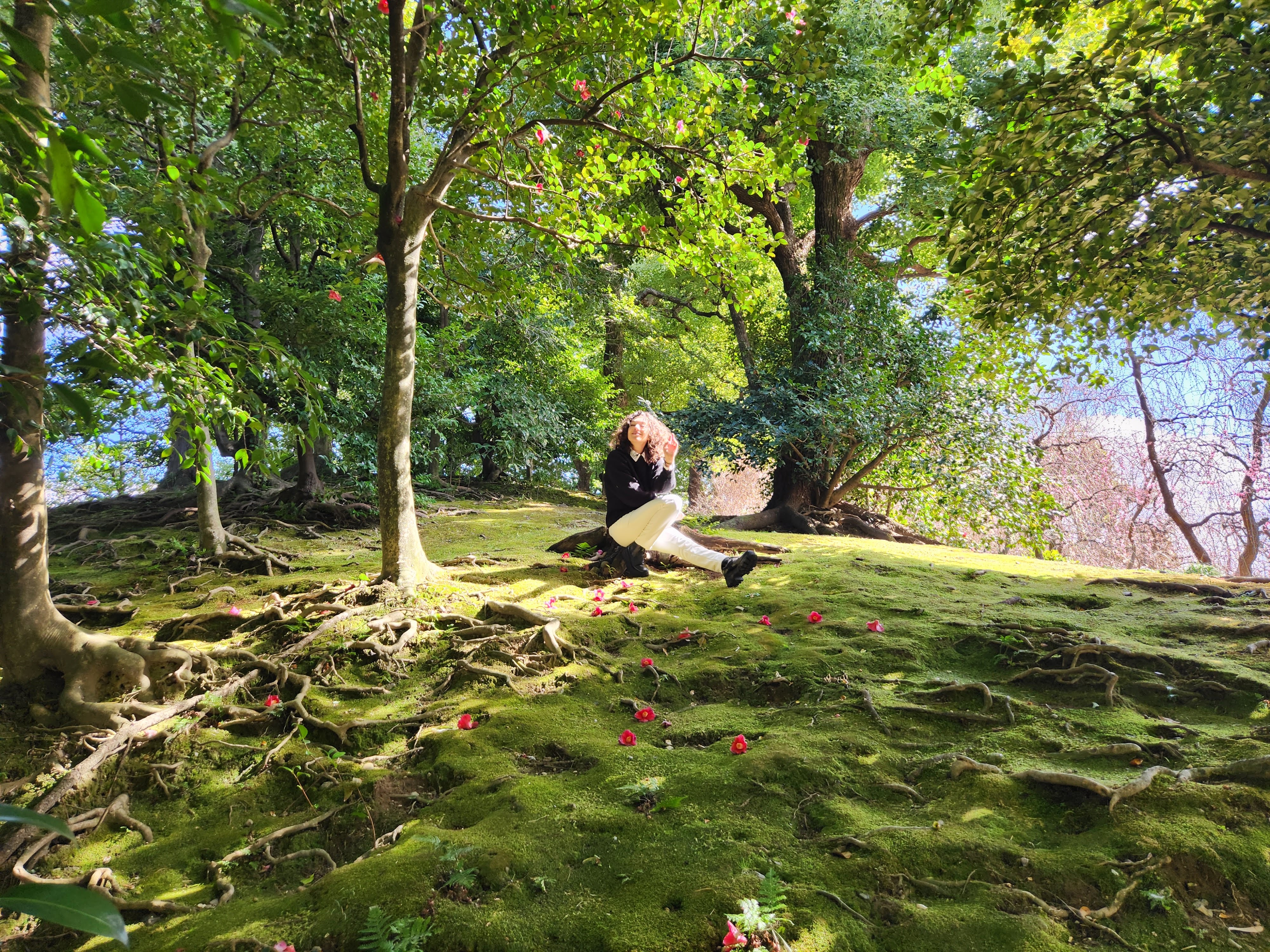 חיי יום יום ביפן