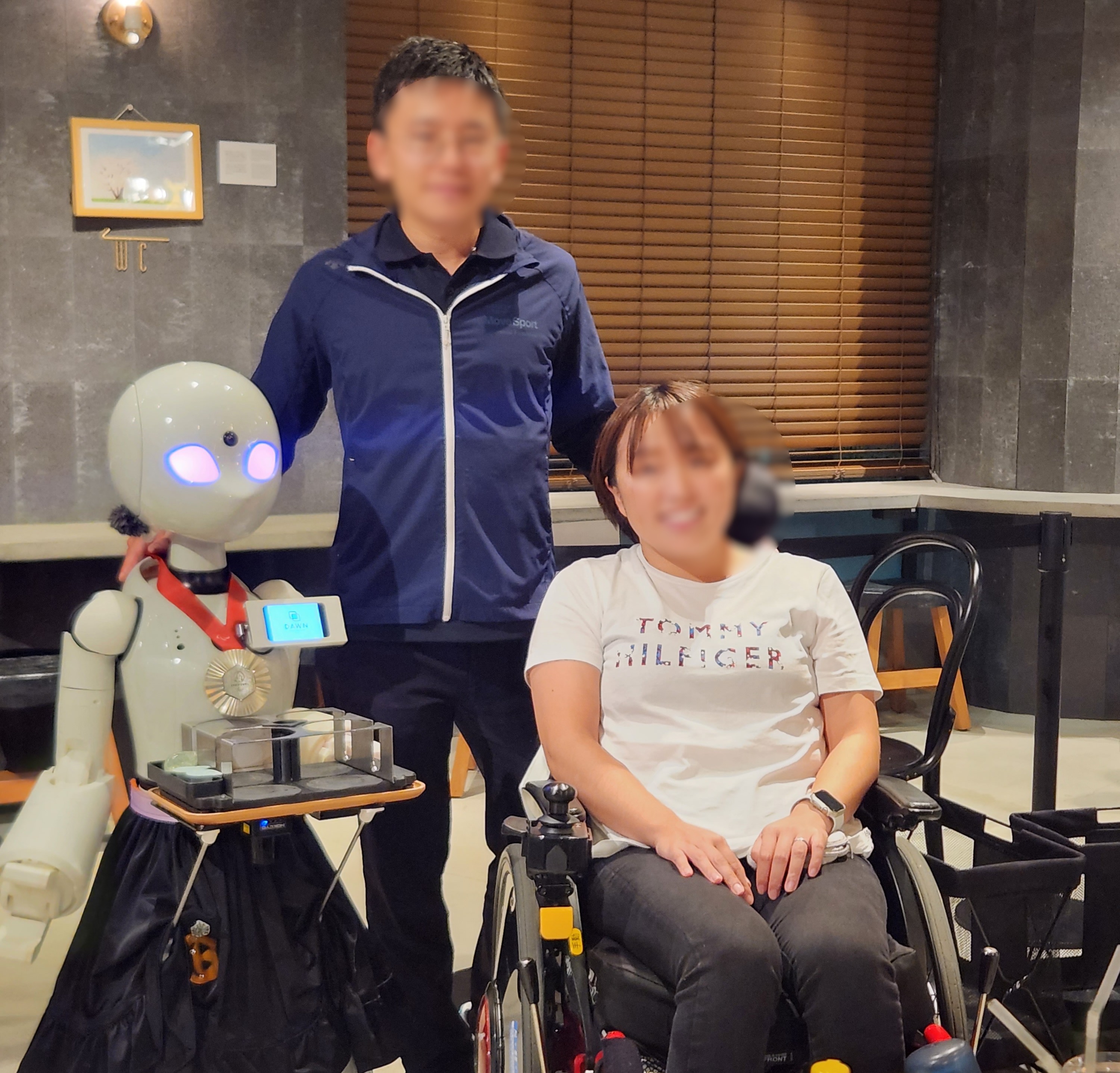 רובוטים, מוגבלויות ויפן