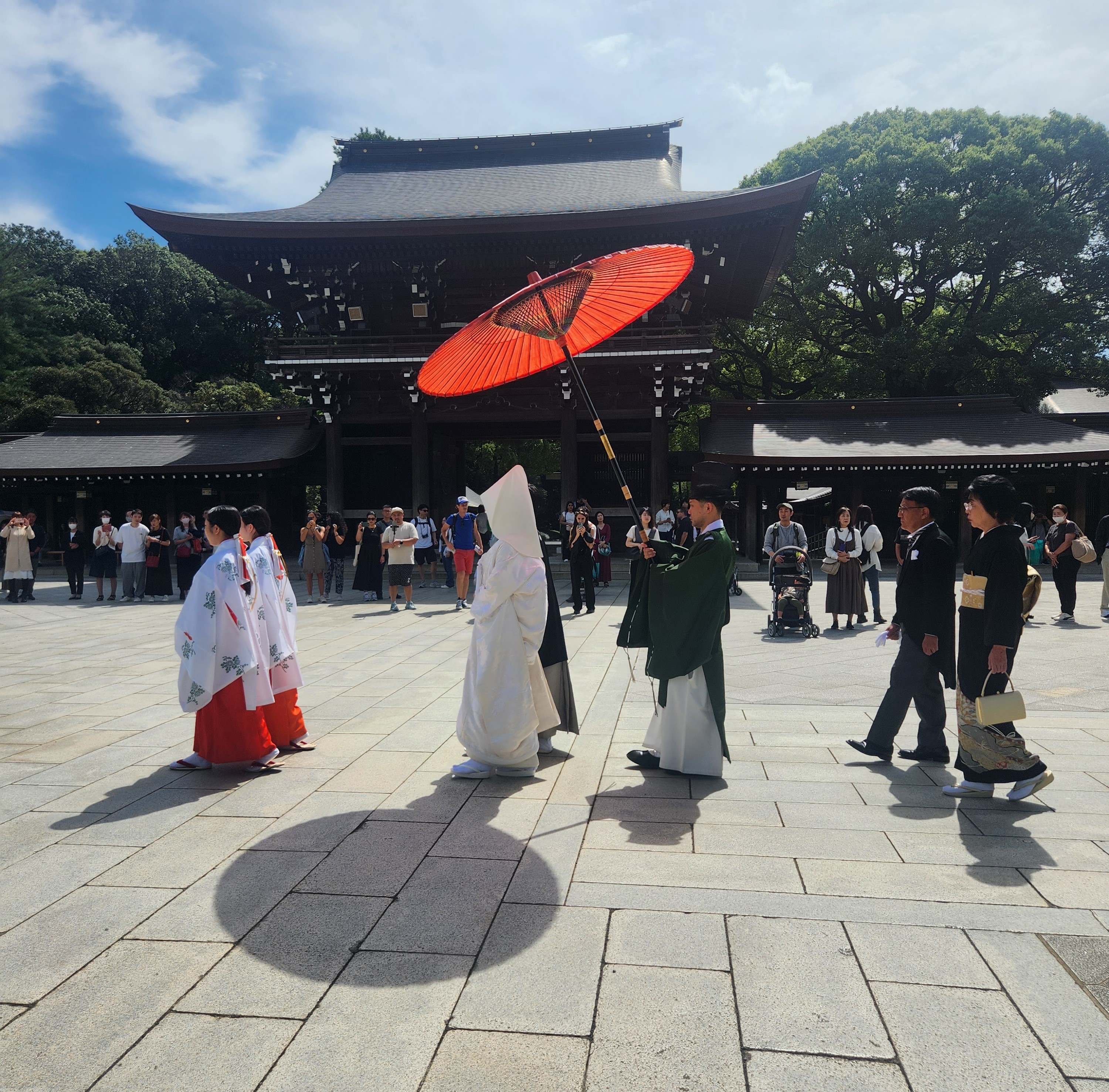 סיור בשיבויה